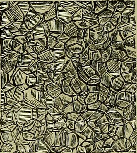 An illustration from The microscope : its history, construction, and application, being a familiar introduction to the use of the instrument, and the study of microscopical science / by Jabez Hogg ; with upwards of five hundred engravings, and coloured illustrations by Tuffen West., 1883, leaf 742