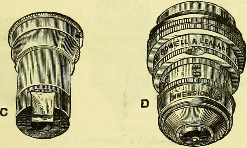 An illustration from The microscope : its history, construction, and application, being a familiar introduction to the use of the instrument, and the study of microscopical science / by Jabez Hogg ; with upwards of five hundred engravings, and coloured illustrations by Tuffen West., 1883, leaf 85