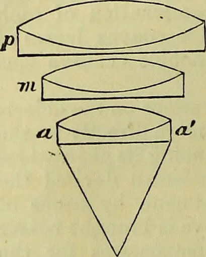 An illustration from The microscope : its history, construction, and application, being a familiar introduction to the use of the instrument, and the study of microscopical science / by Jabez Hogg ; with upwards of five hundred engravings, and coloured illustrations by Tuffen West., 1883, leaf 90