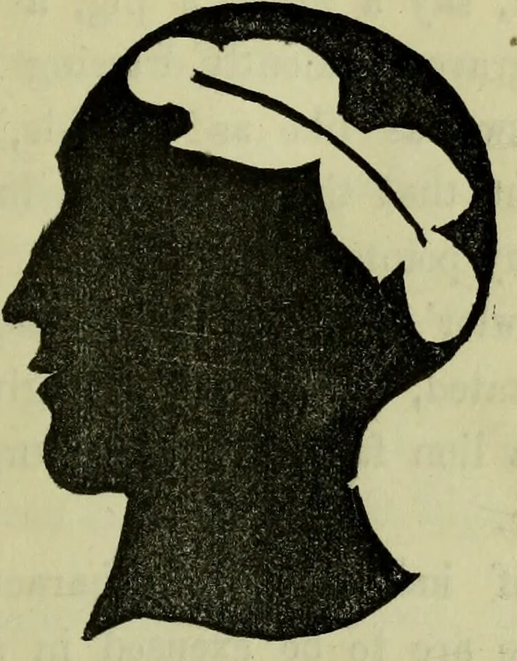 An illustration from Character, and its external signs., 1865, leaf 15