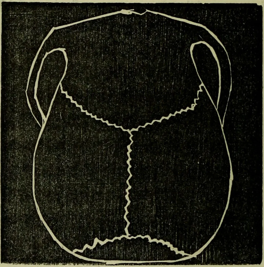 An illustration from Character, and its external signs., 1865, leaf 18