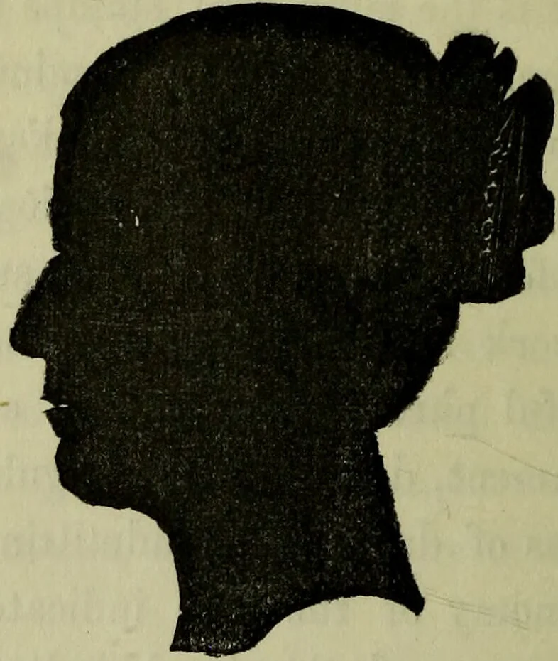 An illustration from Character, and its external signs., 1865, leaf 24