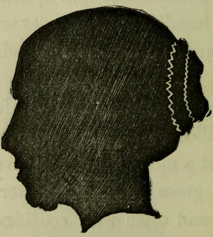 An illustration from Character, and its external signs., 1865, leaf 24