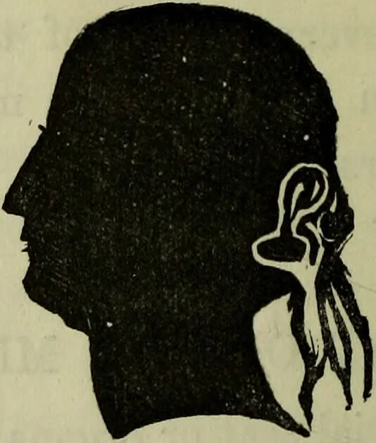 An illustration from Character, and its external signs., 1865, leaf 28