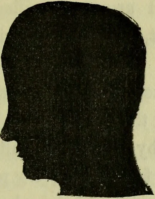 An illustration from Character, and its external signs., 1865, leaf 29