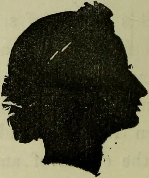 An illustration from Character, and its external signs., 1865, leaf 46