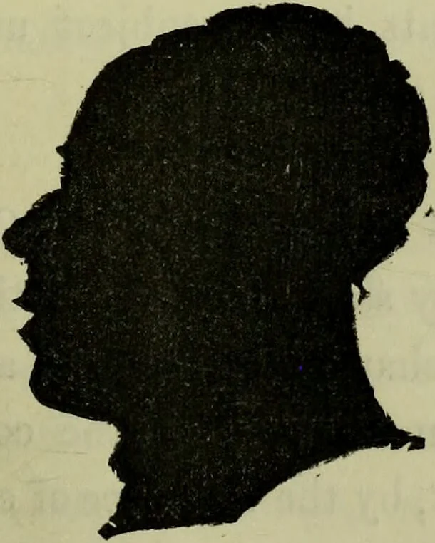 An illustration from Character, and its external signs., 1865, leaf 51