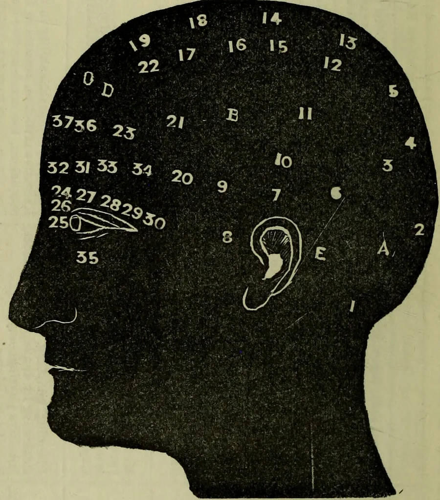 An illustration from Character, and its external signs., 1865, leaf 58