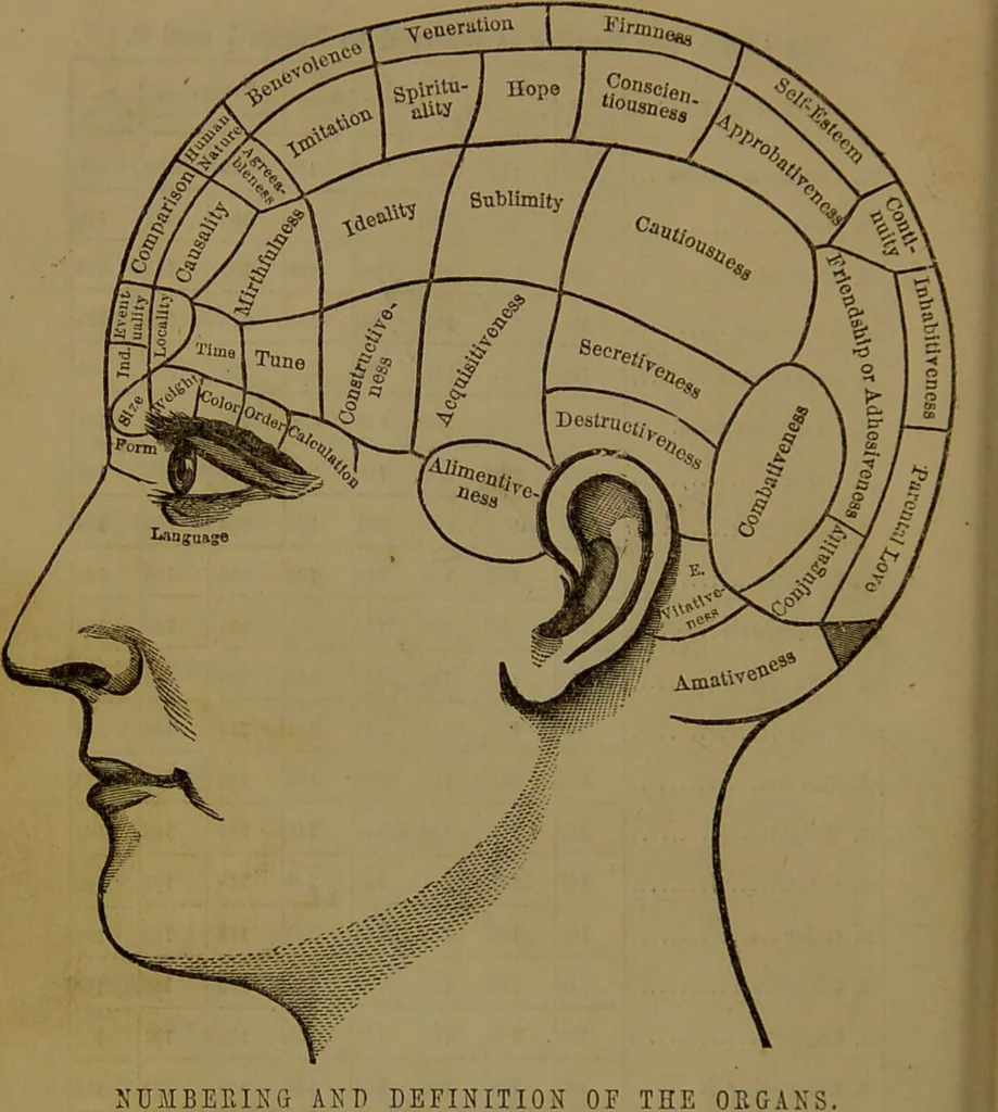 An illustration from New illustrated self-instructor in phrenology and physiology : with over one hundred engravings, together with the chart and character of ... as marked by ... / by O.S. and L.N. Fowler., 1852, leaf 10