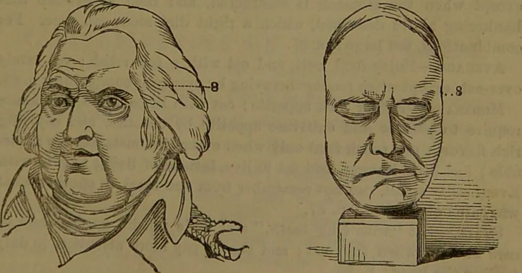 An illustration from New illustrated self-instructor in phrenology and physiology : with over one hundred engravings, together with the chart and character of ... as marked by ... / by O.S. and L.N. Fowler., 1852, leaf 101