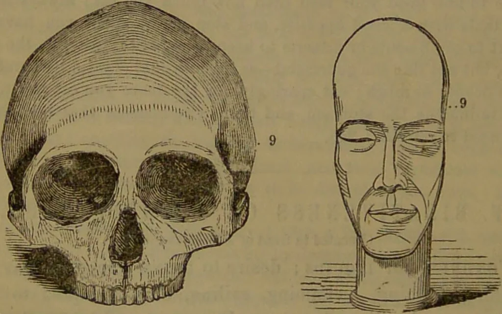 An illustration from New illustrated self-instructor in phrenology and physiology : with over one hundred engravings, together with the chart and character of ... as marked by ... / by O.S. and L.N. Fowler., 1852, leaf 104