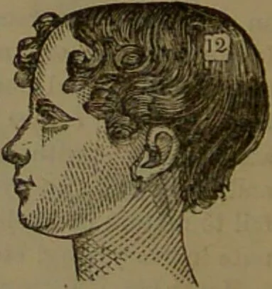 An illustration from New illustrated self-instructor in phrenology and physiology : with over one hundred engravings, together with the chart and character of ... as marked by ... / by O.S. and L.N. Fowler., 1852, leaf 112
