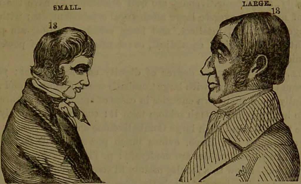 An illustration from New illustrated self-instructor in phrenology and physiology : with over one hundred engravings, together with the chart and character of ... as marked by ... / by O.S. and L.N. Fowler., 1852, leaf 115