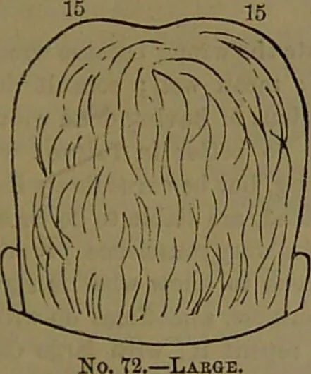 An illustration from New illustrated self-instructor in phrenology and physiology : with over one hundred engravings, together with the chart and character of ... as marked by ... / by O.S. and L.N. Fowler., 1852, leaf 121