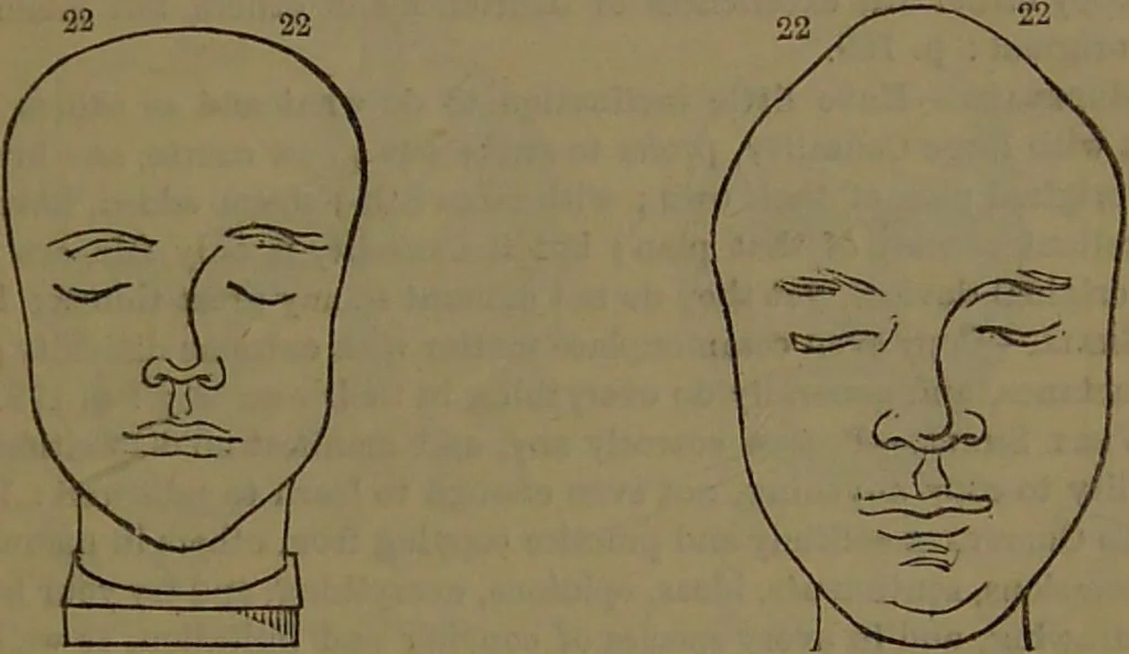 An illustration from New illustrated self-instructor in phrenology and physiology : with over one hundred engravings, together with the chart and character of ... as marked by ... / by O.S. and L.N. Fowler., 1852, leaf 139