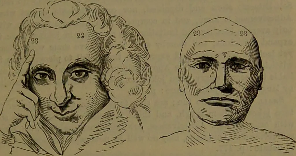 An illustration from New illustrated self-instructor in phrenology and physiology : with over one hundred engravings, together with the chart and character of ... as marked by ... / by O.S. and L.N. Fowler., 1852, leaf 141