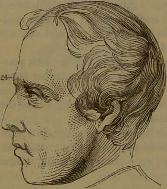 An illustration from New illustrated self-instructor in phrenology and physiology : with over one hundred engravings, together with the chart and character of ... as marked by ... / by O.S. and L.N. Fowler., 1852, leaf 146