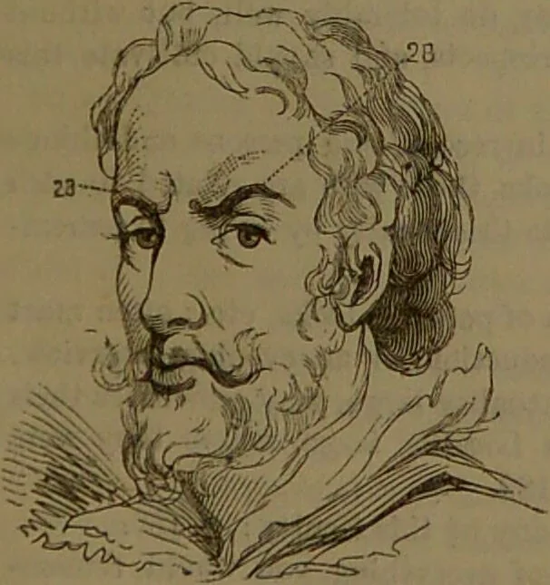 An illustration from New illustrated self-instructor in phrenology and physiology : with over one hundred engravings, together with the chart and character of ... as marked by ... / by O.S. and L.N. Fowler., 1852, leaf 147
