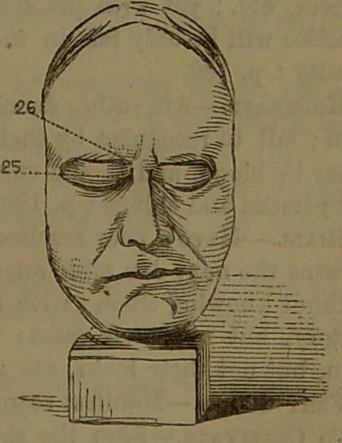 An illustration from New illustrated self-instructor in phrenology and physiology : with over one hundred engravings, together with the chart and character of ... as marked by ... / by O.S. and L.N. Fowler., 1852, leaf 147