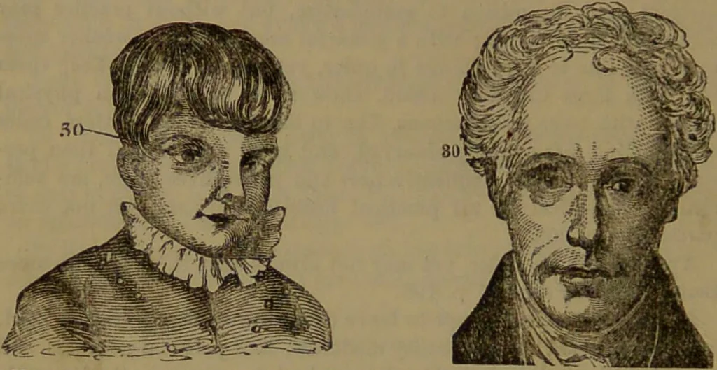 An illustration from New illustrated self-instructor in phrenology and physiology : with over one hundred engravings, together with the chart and character of ... as marked by ... / by O.S. and L.N. Fowler., 1852, leaf 154