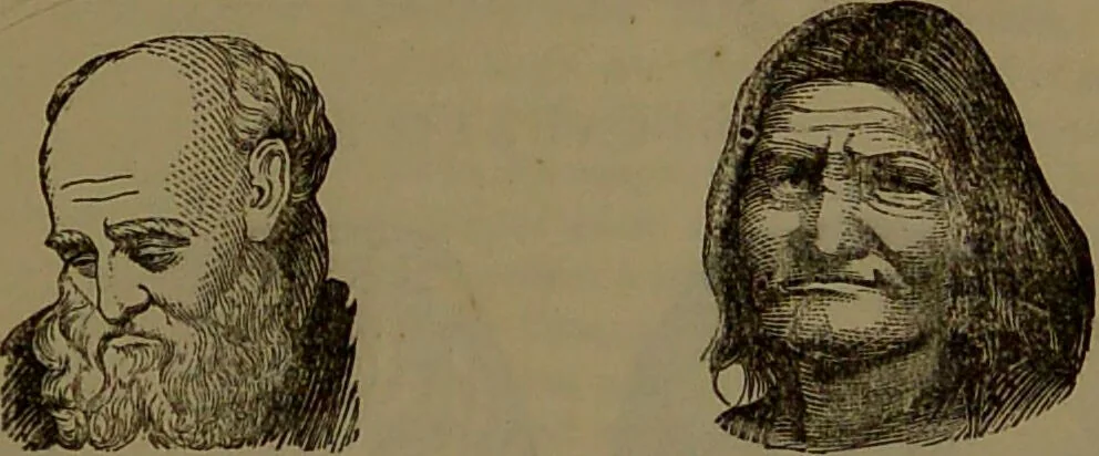 An illustration from New illustrated self-instructor in phrenology and physiology : with over one hundred engravings, together with the chart and character of ... as marked by ... / by O.S. and L.N. Fowler., 1852, leaf 163