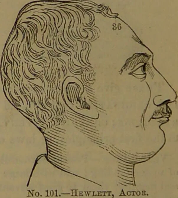 An illustration from New illustrated self-instructor in phrenology and physiology : with over one hundred engravings, together with the chart and character of ... as marked by ... / by O.S. and L.N. Fowler., 1852, leaf 164