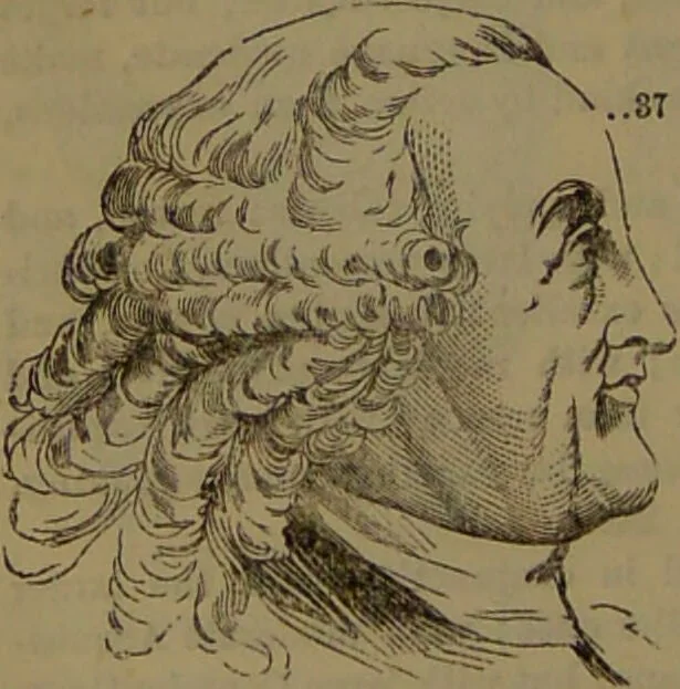 An illustration from New illustrated self-instructor in phrenology and physiology : with over one hundred engravings, together with the chart and character of ... as marked by ... / by O.S. and L.N. Fowler., 1852, leaf 166