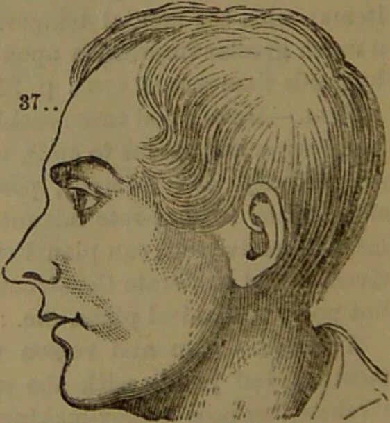 An illustration from New illustrated self-instructor in phrenology and physiology : with over one hundred engravings, together with the chart and character of ... as marked by ... / by O.S. and L.N. Fowler., 1852, leaf 166