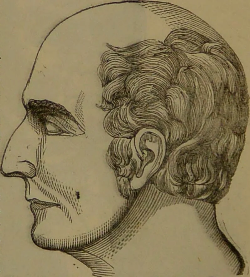 An illustration from New illustrated self-instructor in phrenology and physiology : with over one hundred engravings, together with the chart and character of ... as marked by ... / by O.S. and L.N. Fowler., 1852, leaf 54