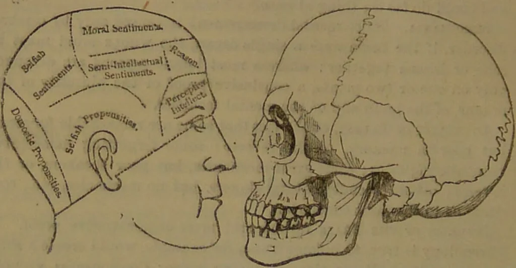 An illustration from New illustrated self-instructor in phrenology and physiology : with over one hundred engravings, together with the chart and character of ... as marked by ... / by O.S. and L.N. Fowler., 1852, leaf 66