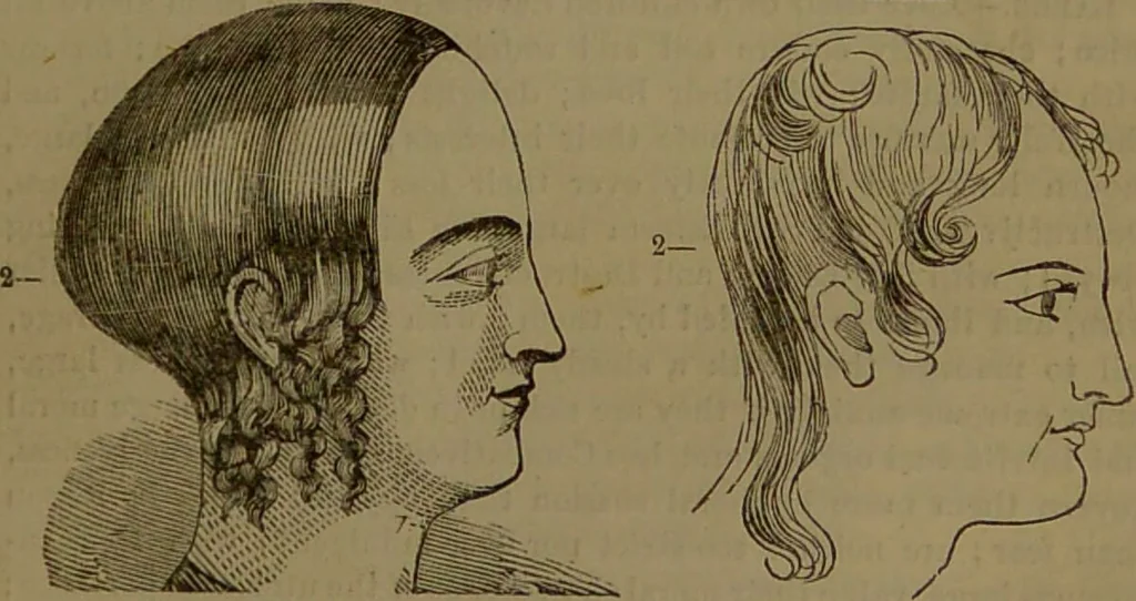 An illustration from New illustrated self-instructor in phrenology and physiology : with over one hundred engravings, together with the chart and character of ... as marked by ... / by O.S. and L.N. Fowler., 1852, leaf 85