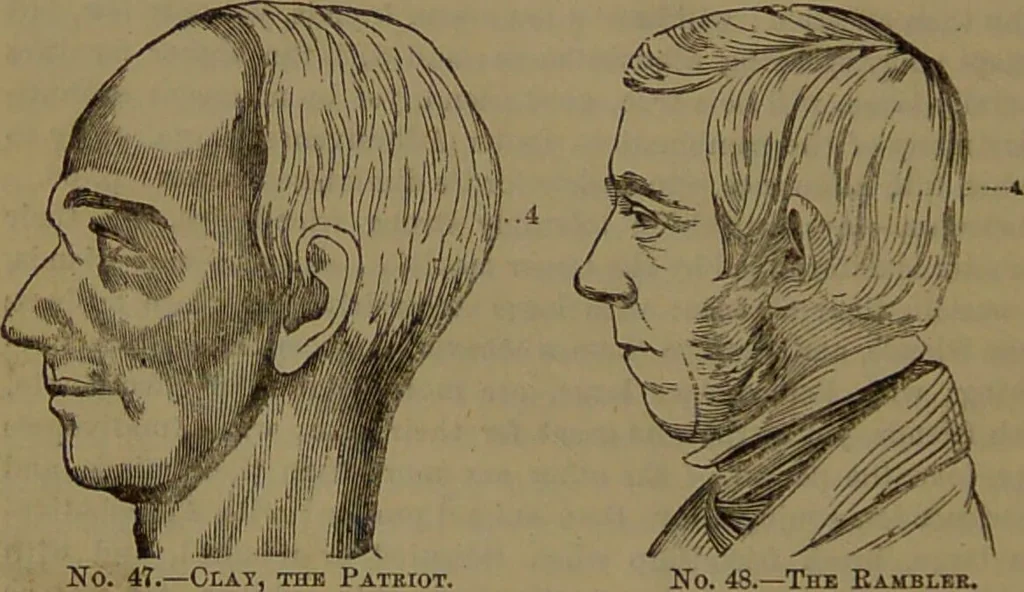 An illustration from New illustrated self-instructor in phrenology and physiology : with over one hundred engravings, together with the chart and character of ... as marked by ... / by O.S. and L.N. Fowler., 1852, leaf 90