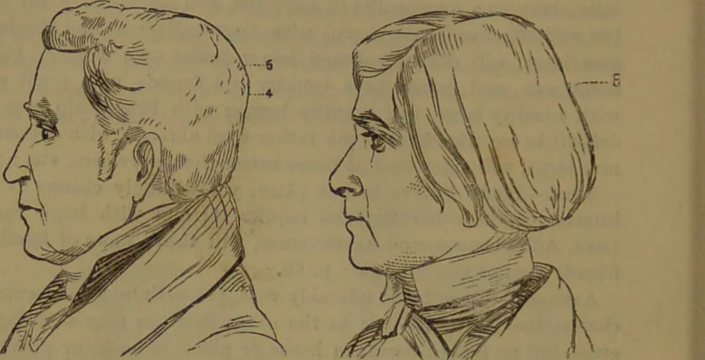 An illustration from New illustrated self-instructor in phrenology and physiology : with over one hundred engravings, together with the chart and character of ... as marked by ... / by O.S. and L.N. Fowler., 1852, leaf 92