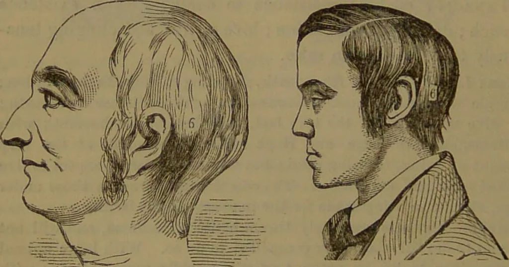 An illustration from New illustrated self-instructor in phrenology and physiology : with over one hundred engravings, together with the chart and character of ... as marked by ... / by O.S. and L.N. Fowler., 1852, leaf 96
