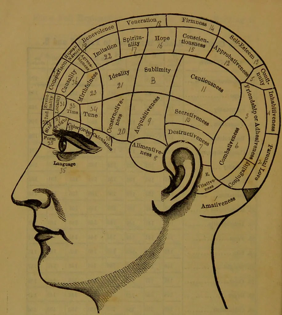 An illustration from New illustrated self-instructor in phrenology and physiology : with over one hundred engravings, together with the chart and character of ... as marked by ... / by O.S. and L.N. Fowler., 1864, leaf 10