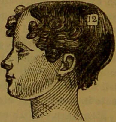 An illustration from New illustrated self-instructor in phrenology and physiology : with over one hundred engravings, together with the chart and character of ... as marked by ... / by O.S. and L.N. Fowler., 1864, leaf 112