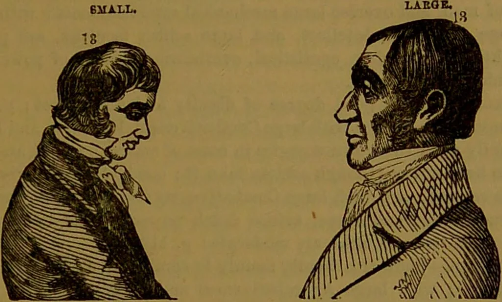 An illustration from New illustrated self-instructor in phrenology and physiology : with over one hundred engravings, together with the chart and character of ... as marked by ... / by O.S. and L.N. Fowler., 1864, leaf 115