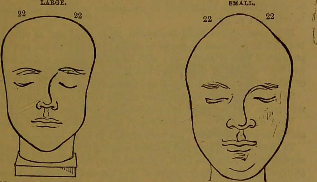 An illustration from New illustrated self-instructor in phrenology and physiology : with over one hundred engravings, together with the chart and character of ... as marked by ... / by O.S. and L.N. Fowler., 1864, leaf 139