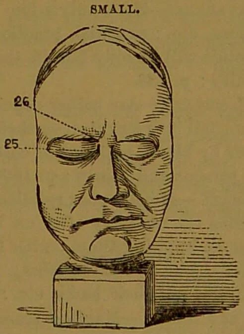 An illustration from New illustrated self-instructor in phrenology and physiology : with over one hundred engravings, together with the chart and character of ... as marked by ... / by O.S. and L.N. Fowler., 1864, leaf 147