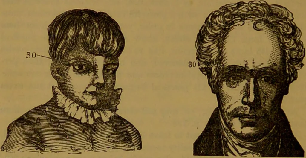 An illustration from New illustrated self-instructor in phrenology and physiology : with over one hundred engravings, together with the chart and character of ... as marked by ... / by O.S. and L.N. Fowler., 1864, leaf 154