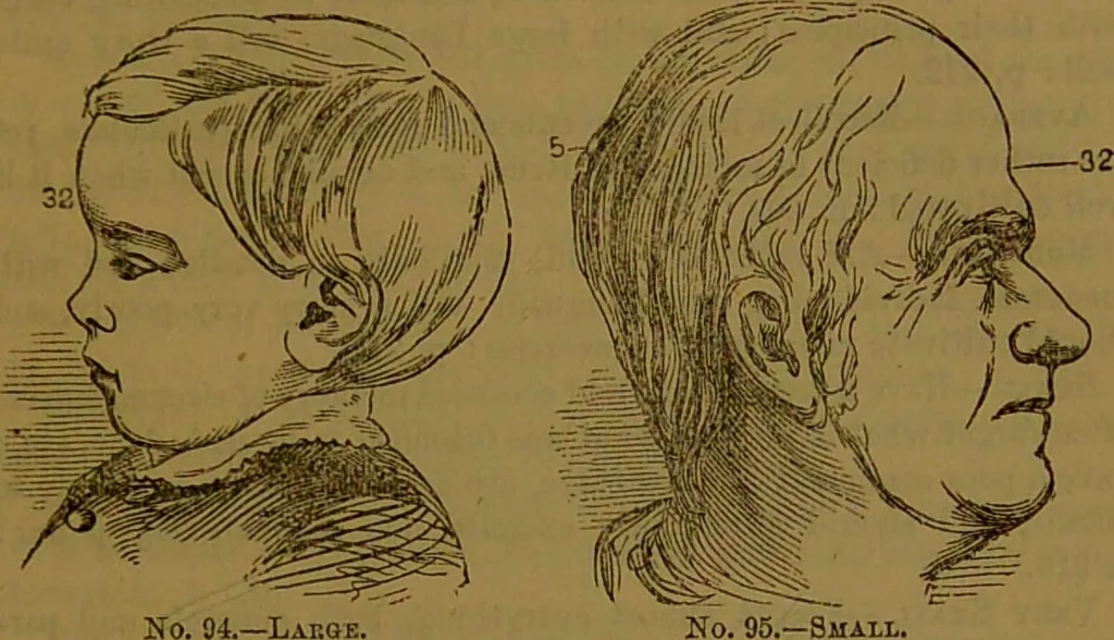 An illustration from New illustrated self-instructor in phrenology and physiology : with over one hundred engravings, together with the chart and character of ... as marked by ... / by O.S. and L.N. Fowler., 1864, leaf 157