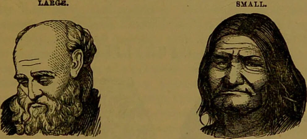 An illustration from New illustrated self-instructor in phrenology and physiology : with over one hundred engravings, together with the chart and character of ... as marked by ... / by O.S. and L.N. Fowler., 1864, leaf 163