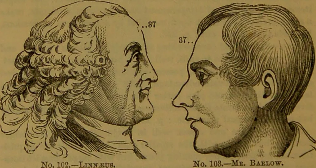An illustration from New illustrated self-instructor in phrenology and physiology : with over one hundred engravings, together with the chart and character of ... as marked by ... / by O.S. and L.N. Fowler., 1864, leaf 166