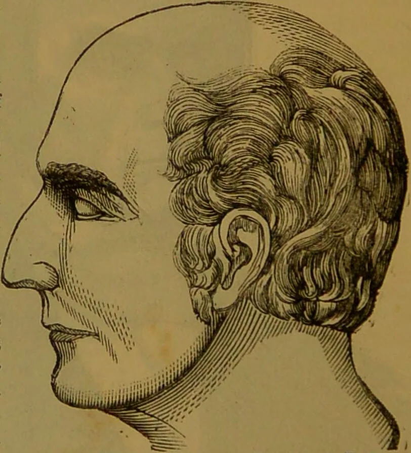 An illustration from New illustrated self-instructor in phrenology and physiology : with over one hundred engravings, together with the chart and character of ... as marked by ... / by O.S. and L.N. Fowler., 1864, leaf 54