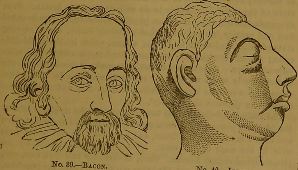 An illustration from New illustrated self-instructor in phrenology and physiology : with over one hundred engravings, together with the chart and character of ... as marked by ... / by O.S. and L.N. Fowler., 1864, leaf 69