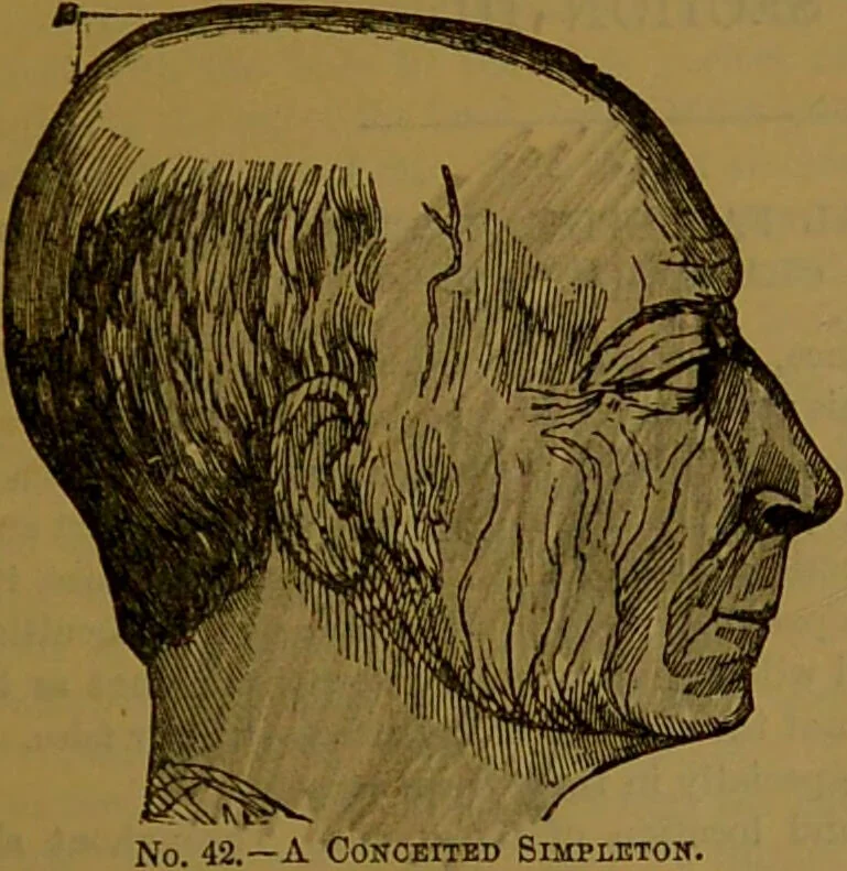An illustration from New illustrated self-instructor in phrenology and physiology : with over one hundred engravings, together with the chart and character of ... as marked by ... / by O.S. and L.N. Fowler., 1864, leaf 73