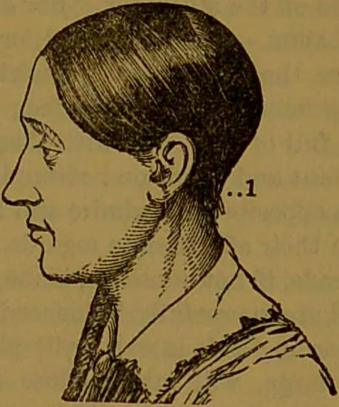 An illustration from New illustrated self-instructor in phrenology and physiology : with over one hundred engravings, together with the chart and character of ... as marked by ... / by O.S. and L.N. Fowler., 1864, leaf 79