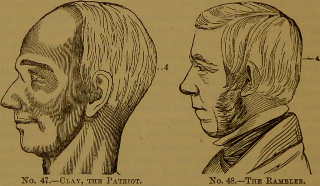 An illustration from New illustrated self-instructor in phrenology and physiology : with over one hundred engravings, together with the chart and character of ... as marked by ... / by O.S. and L.N. Fowler., 1864, leaf 90