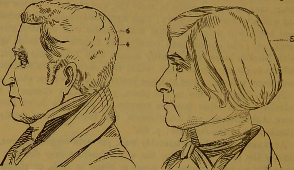 An illustration from New illustrated self-instructor in phrenology and physiology : with over one hundred engravings, together with the chart and character of ... as marked by ... / by O.S. and L.N. Fowler., 1864, leaf 92