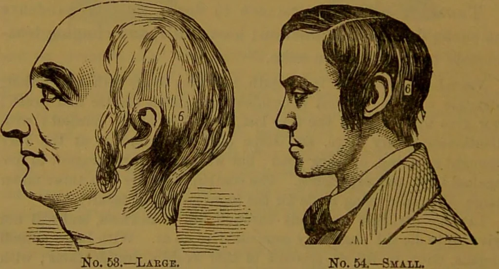An illustration from New illustrated self-instructor in phrenology and physiology : with over one hundred engravings, together with the chart and character of ... as marked by ... / by O.S. and L.N. Fowler., 1864, leaf 96